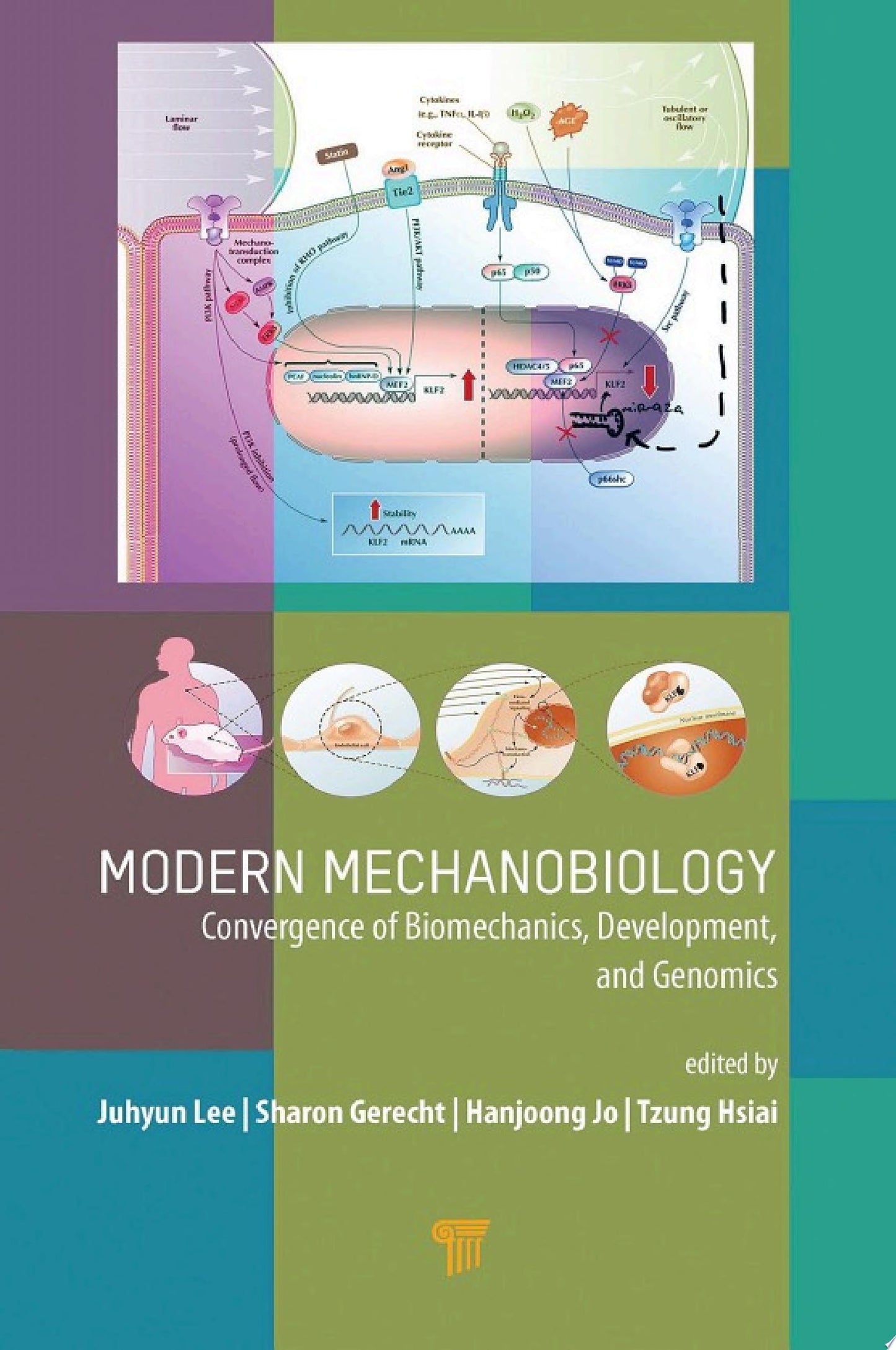 Modern Mechanobiology: Convergence of Biomechanics, Development, and Genomics