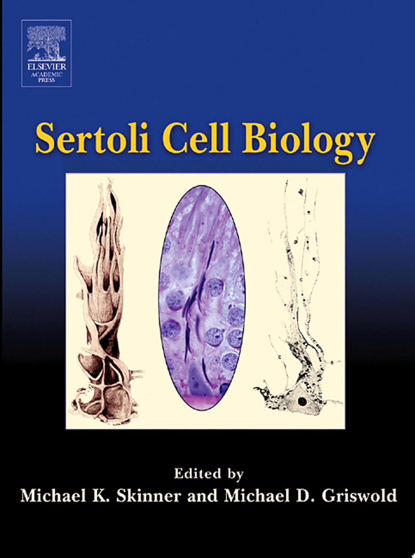Sertoli Cell Biology, 2nd Edition